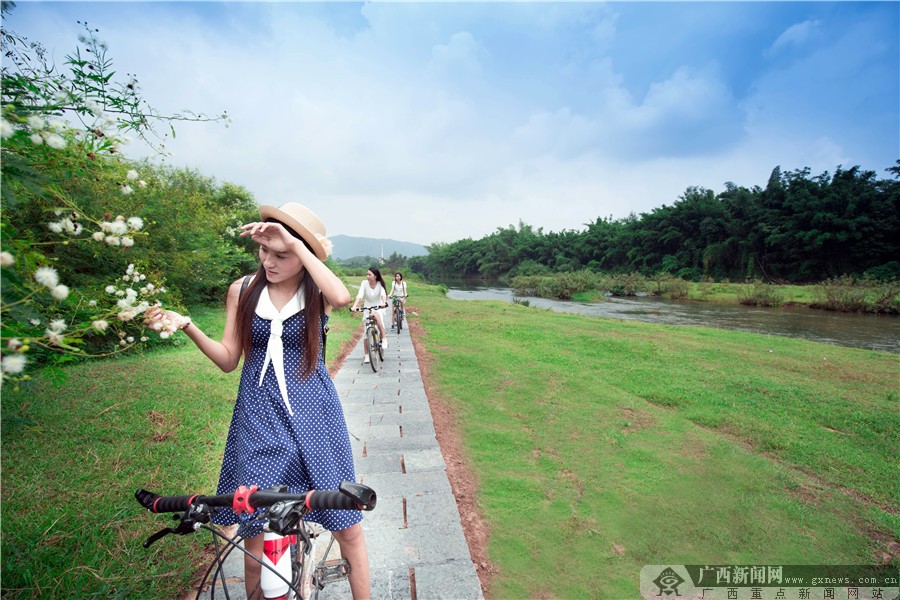 钦北区贵台镇洞利村田间美景