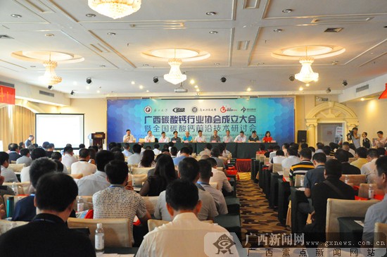 碳酸钙行业协会成立 谋求发展促进行业升级