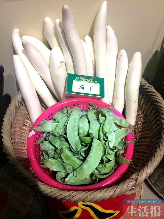 广西科技馆:白色茄子你见过吗?