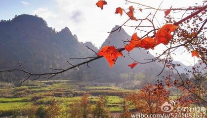 <!--{$pic_title_desc.1.title}-->