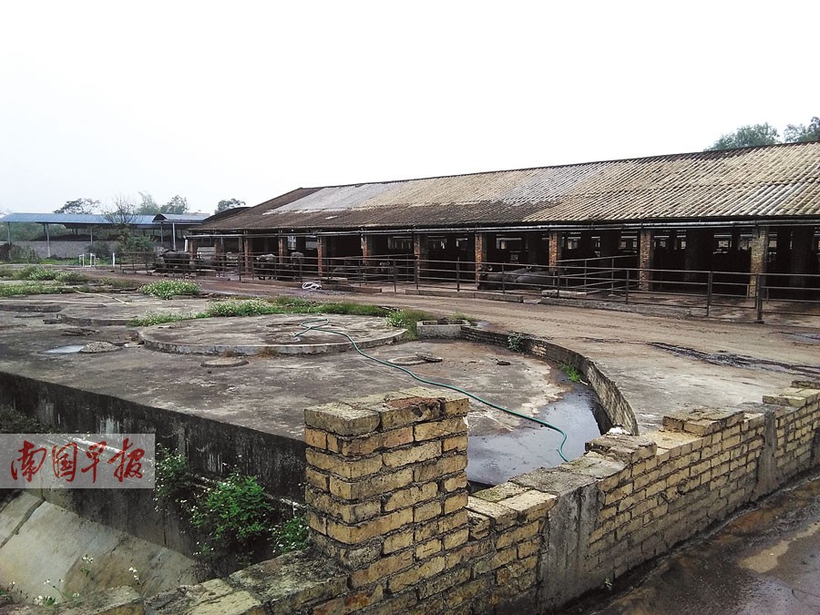 广西半数农户建有沼气池 受益人口达到2000多