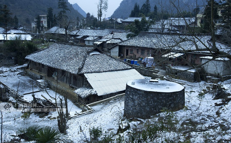 高清:寒潮横扫广西 广西多地出现降雪(47/58)