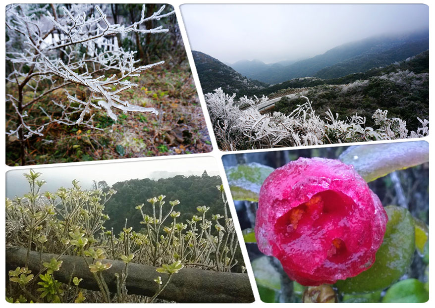 壺u Fڡɽѩ