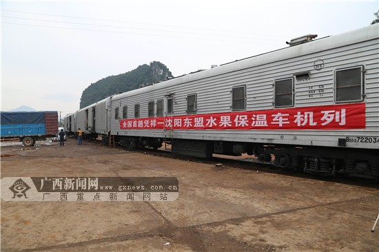 东盟水果