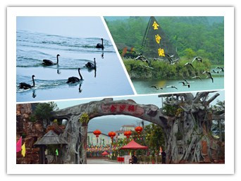 ������ɳ�����������������ν�