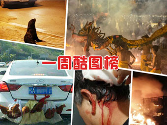 һ�ܿ�ͼ�񣨽���2��22�գ�