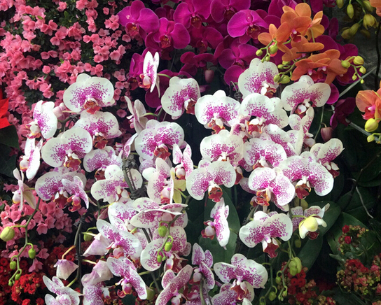 ����������