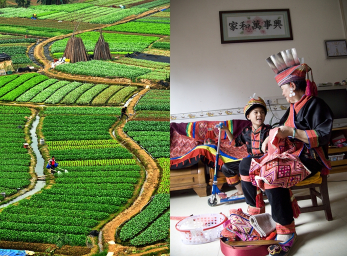 田园风光