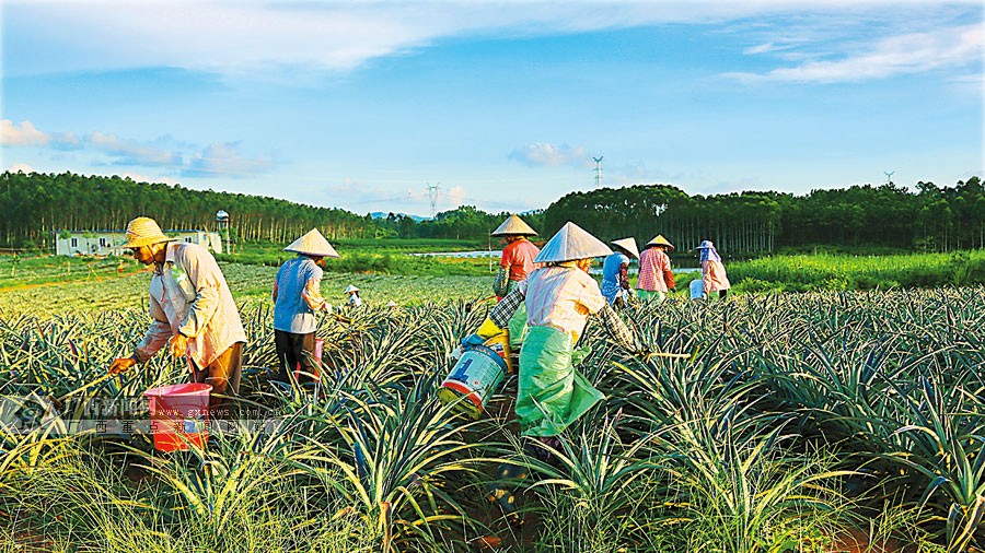 台湾特色农业考察与启示