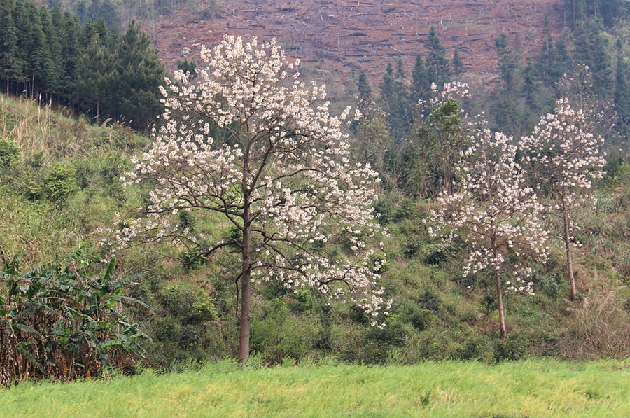 被他人开期货账户近70万被盗走 储户索赔银行