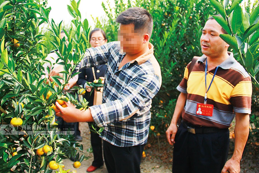 来宾市夯实社区矫正工作透视