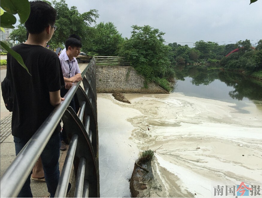 污水频频流入柳州园博园人工湖 不排除企业偷排