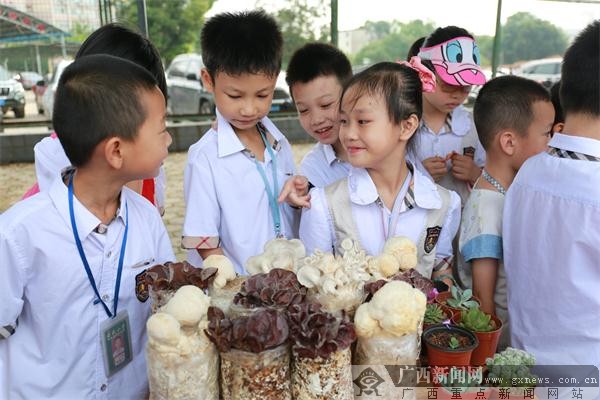 学生摆卖自己在绿色生态基地里种植收获的蔬菜。黄惠宁摄 最精彩的为校内板块。本次科技节首次采用 “大手拉小手”的模式,邀请广西大学物理、化工、机械、林学、环境、资源与冶金等6个学院不同专业的大学生与小学生结对子,指导开展了364个科学小实验,学生亲手制作科学绘本展板,各年级还进行以“生活.