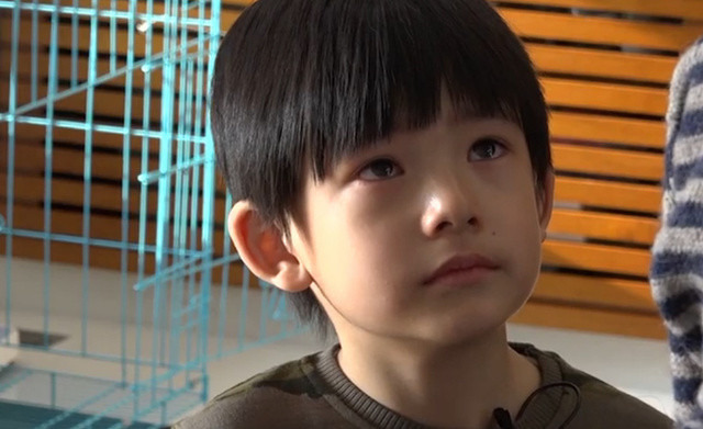 被儿子顶顶鲜花 董洁再披婚纱拍写真!