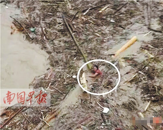 广西一农妇被洪水冲走漂流4小时 抱木头死里逃生