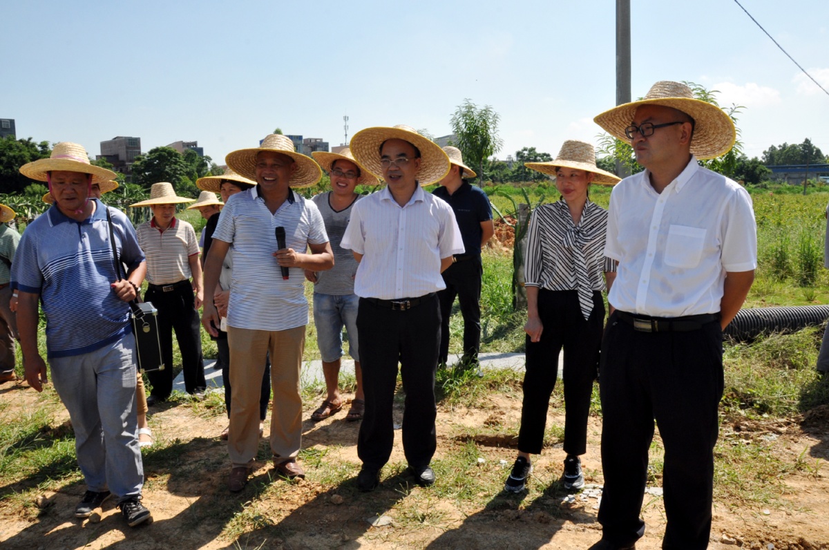 南宁市人民政府副秘书长田家全,县委副书记,副县长,代理县长穆贤清,副