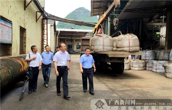 纪委书记,副行长林章先后结合"两学一做"活动为靖西支行全体党员干部