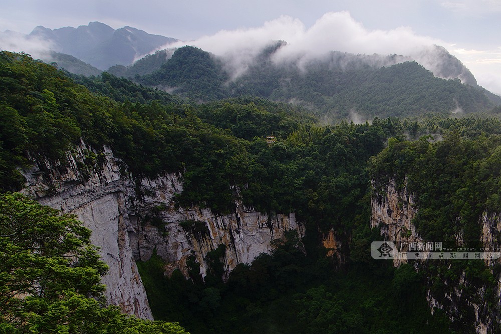 花坪镇黄猄洞天坑雨后云漫山头.通讯员 李晋摄