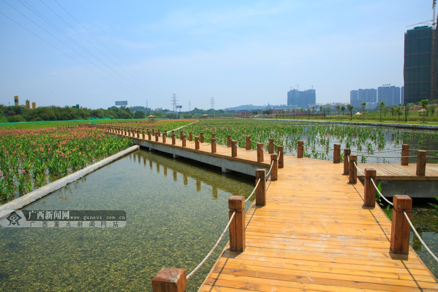 高清:南宁那考河湿地公园初具规模 有望年内建成(6/10)