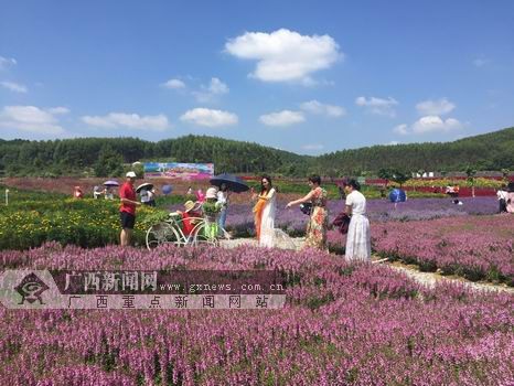 欢度国庆南宁青秀区南阳镇花海之旅刷爆朋友圈