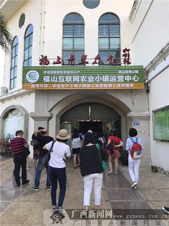 福山互联网农业小镇全貌.广西新闻网记者 李冠宏摄