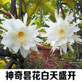 广西手机报11月11日下午版_太原市交警支队信