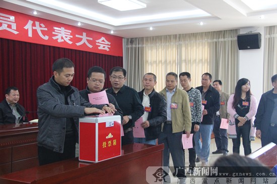 那坡县法学会第二次会员代表大会召开