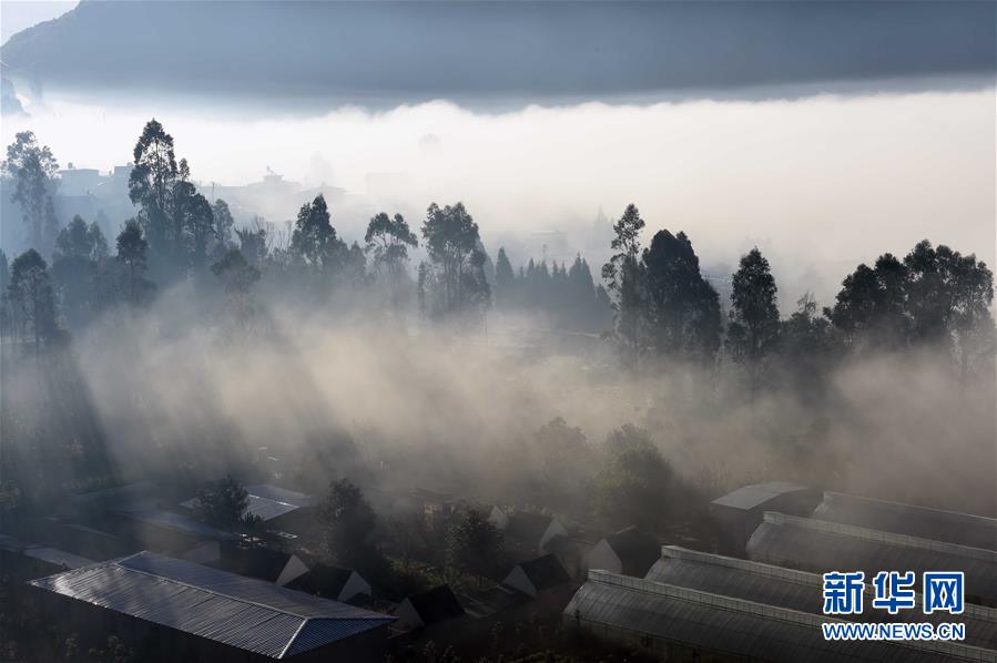 关于明天禄劝的天气是怎么样的信息
