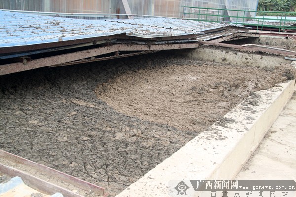 广西探索污泥、餐厨垃圾处理新途径 修复矿山