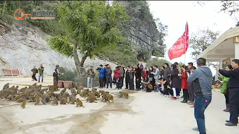 <!--{$pic_title_desc.1.title}-->