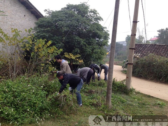 崇左市委宣传部积极帮扶龙州县上金乡中山村