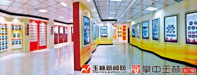 玉林市开展机关党建规范化建设大行动活动成