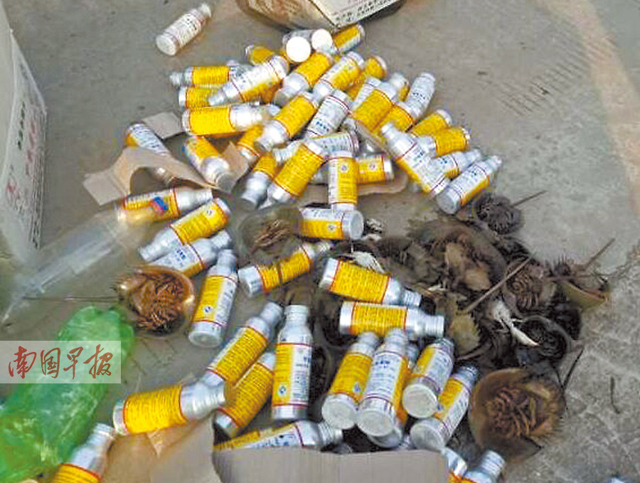 钦州有中华鲎被毒杀?系非法养螺投杀虫剂所致