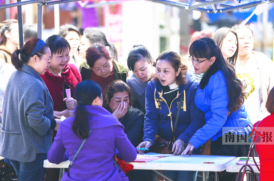 “春风行动”女性专场招聘会 家政月嫂成热门职业