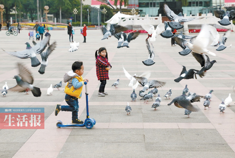 2月25日焦点图:南宁活禽市场轮流休市消毒(1\/