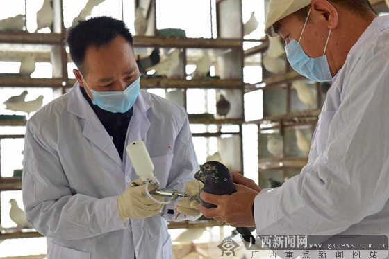 2月25日焦点图:南宁活禽市场轮流休市消毒(1\/