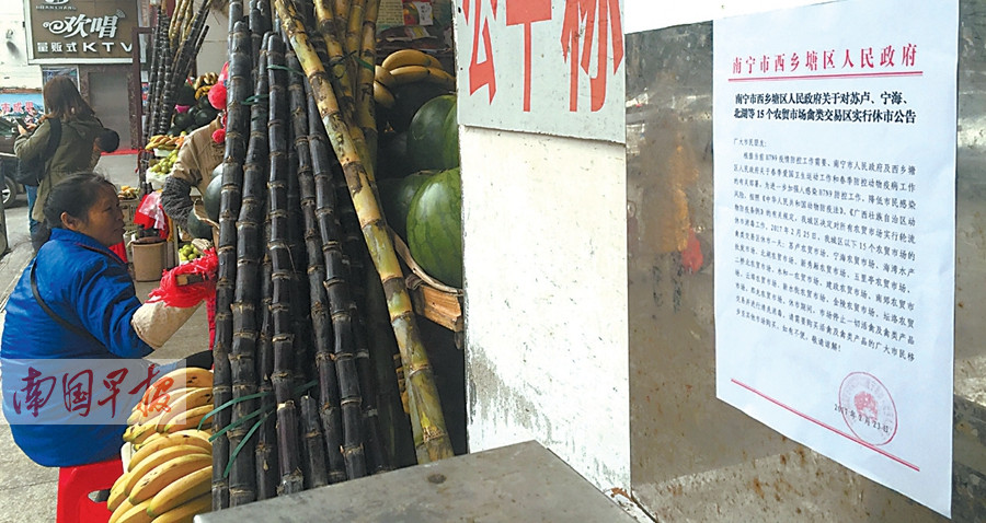 2月25日焦点图:南宁活禽市场轮流休市消毒_广