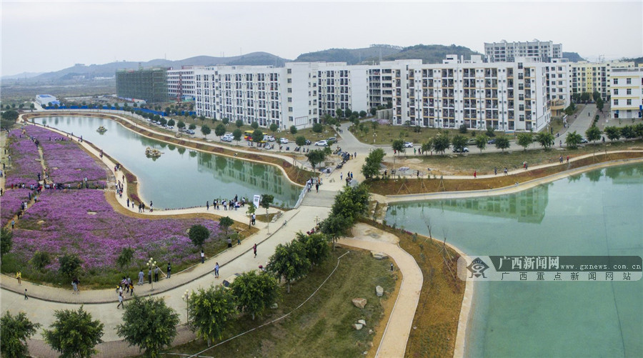 花开春意浓 广西民族师范学院花海