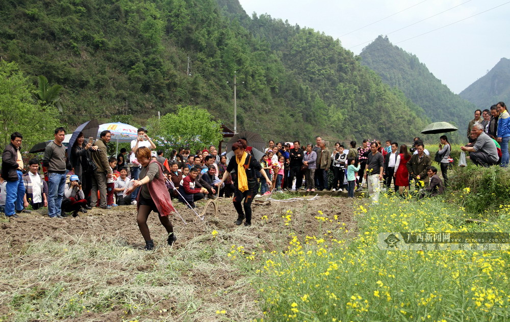 河池首个乡村农耕文化旅游节在下洛村举行