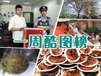 һ�ܿ�ͼ�񣨽���4��16�գ�