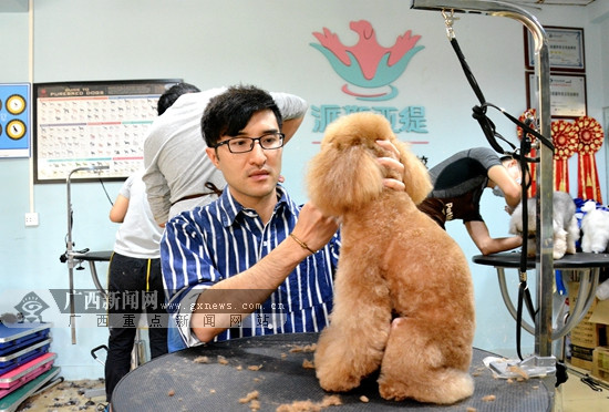 初探南宁宠物美容师行业 导师级年薪可达百万(图)