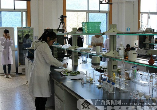 柳职院与广职院开展“农产品质量安全检测”交流赛