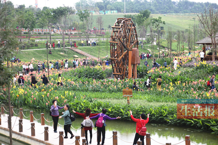 南宁那考河湿地公园成网红_新闻频道_广西网