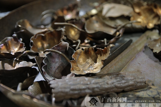 美丽南方・老木棉匠园即将开园
