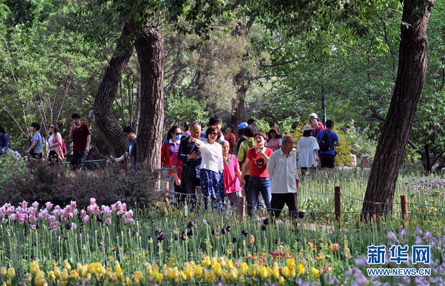 4月30日,游人在北京植物园赏花.新华社记者 张旭 摄