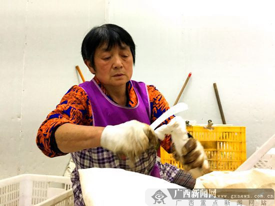 收入证明_农民收入提高