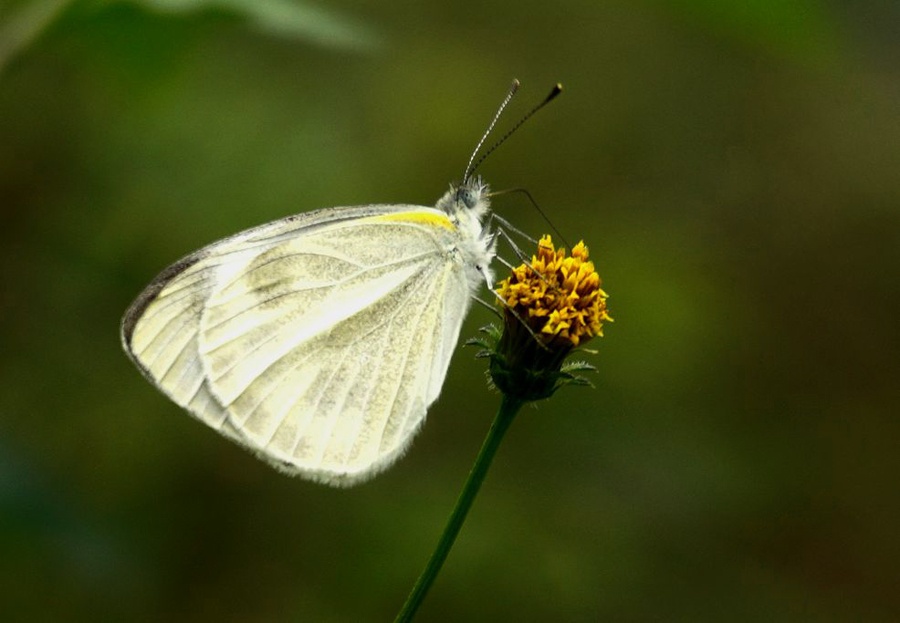 ��ˮ����������ʱ�ڡ���������(ͼ)