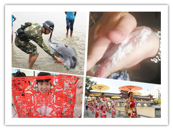 5��8�ս���ͼ�������Ѳ��206�֡��ų��Ρ�