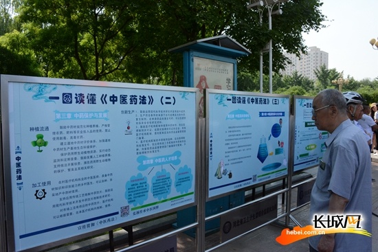 现场市民不仅可以通过展板和发放的宣传折页详细了解《中医药法,还