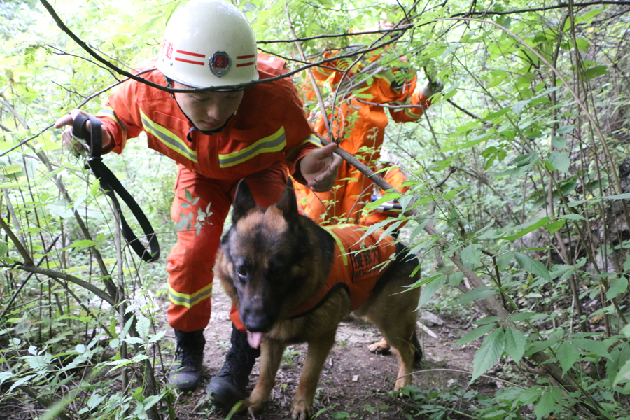 ���ӱ�����ɽ �����ٱ�Я�Ѿ�Ȯ��ɽӪ��(��ͼ)